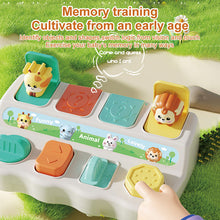 Load image into Gallery viewer, Early Education Learning Box Toy – Plastic Educational Set