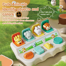 Load image into Gallery viewer, Early Education Learning Box Toy – Plastic Educational Set
