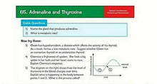 Load image into Gallery viewer, EDEXCEL GCSE 9-1 All 3 Separate Science Revision Cards KS4